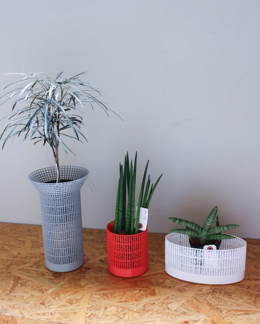 UbymuiがPOPUPUbymui2026を8月12日まで延長、植物再入荷と植え替えサービスを案内