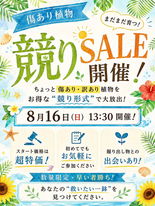 スプラウトBRITOMART店が2026年8月に競りSALE開催、傷あり・訳あり植物を超特価で販売