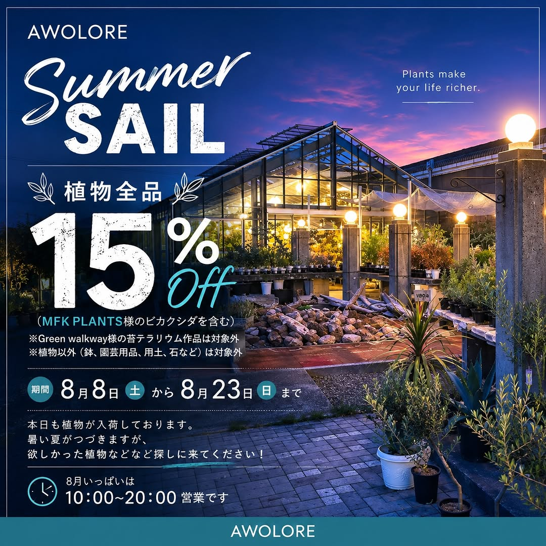 AWOLORE SUMMER SALE2026が植物全品15%OFFを実施、富士市AWOLOREで8月23日まで開催