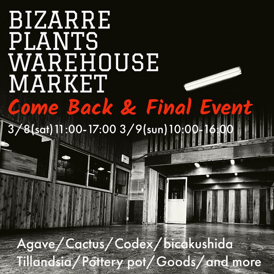 BIZARRE PLANTS WAREHOUSE MARKETが福岡で開催、16店舗による植物販売で倉庫最後のイベントを飾る