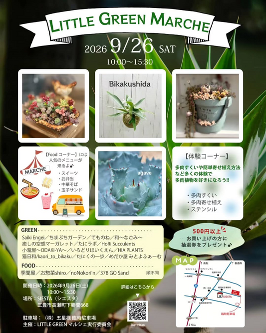 LITTLEGREENMARCHE2026を香川県三豊市で開催、多肉植物やアガベと体験ブースがSIESTAに集まる