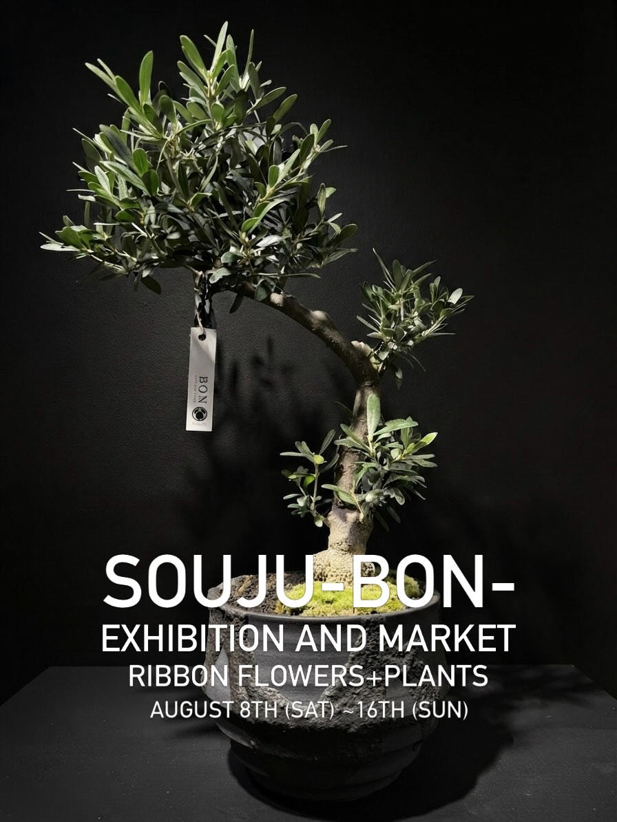 SOUJU-BON-展示販売会2026がRIBBON FLOWERS+PLANTSで開催、創樹オリーブを展示販売