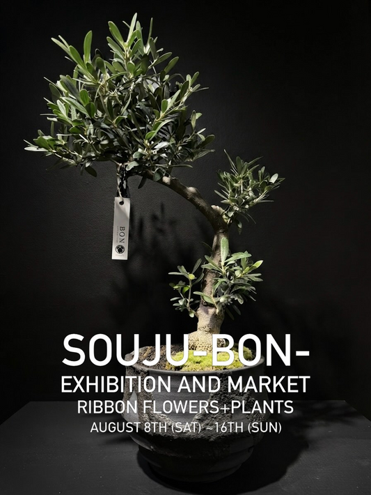 SOUJU-BON-展示販売会2026がRIBBON FLOWERS+PLANTSで開催、創樹オリーブを展示販売