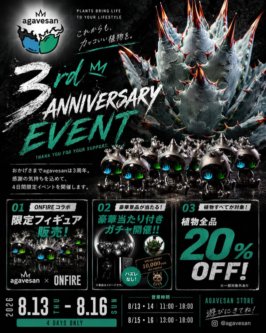 agavesan 3rd ANNIVERSARY EVENT2026開催、植物全品20％OFFと限定企画を実施