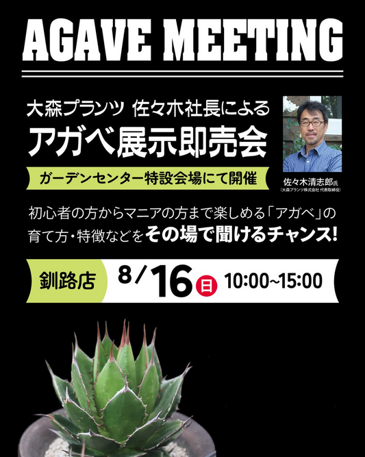 第2回AGAVE MEETING2026をジョイフルエーケー釧路店で開催、アガベ展示即売会と育て方の相談を実施