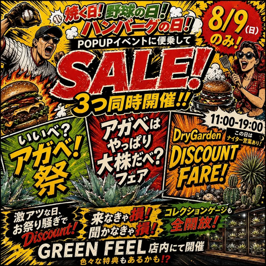 GREENFEELでハンバーグの日2026を開催、POPUPに合わせてアガベSALEやフェアを同時実施