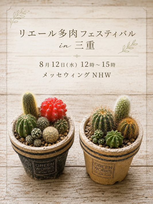 リエール多肉フェスティバル in 三重を8月12日に開催、多肉植物や鉢などを販売