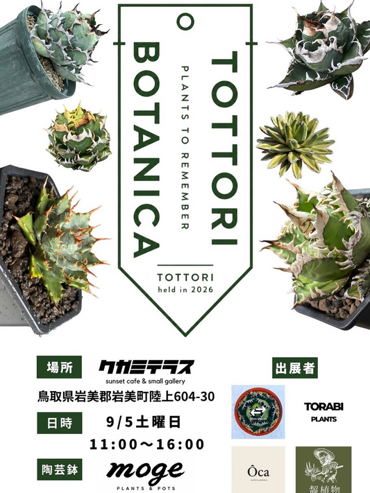 鳥取・クガミテラスで「TOTTORI BOTANICA」開催、植物と陶芸鉢が集まる2026年9月5日のイベント