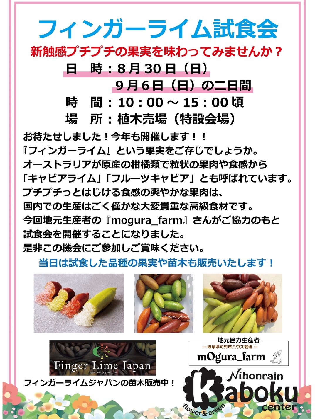 フィンガーライム試食会を開催！プチプチ食感の果実を味わい果実や苗木も販売