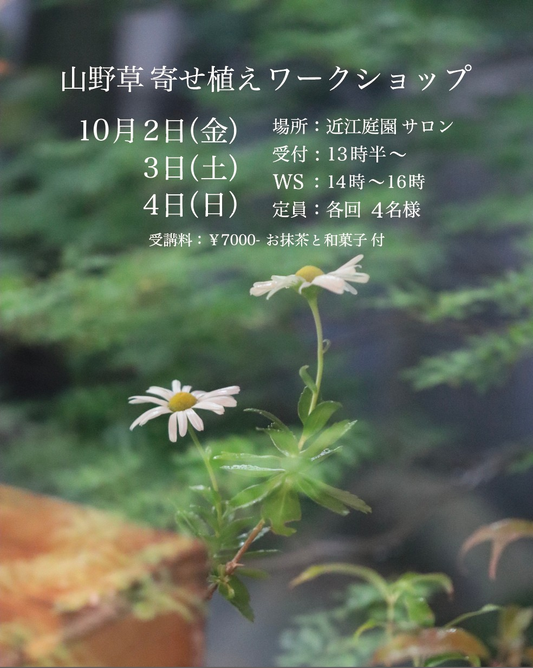 近江庭園サロンで山野草寄せ植えワークショップを開催｜10月2日から4日までの開催概要