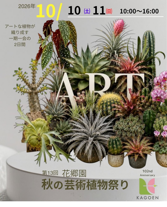 第13回花郷園秋の芸術植物祭りを10月開催、全国の植物生産者と匠が花郷園に集結