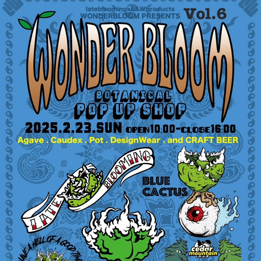 下北沢でWONDER BLOOMポップアップショップ開催、希少植物とクラフトビールのコラボレーション企画を展開