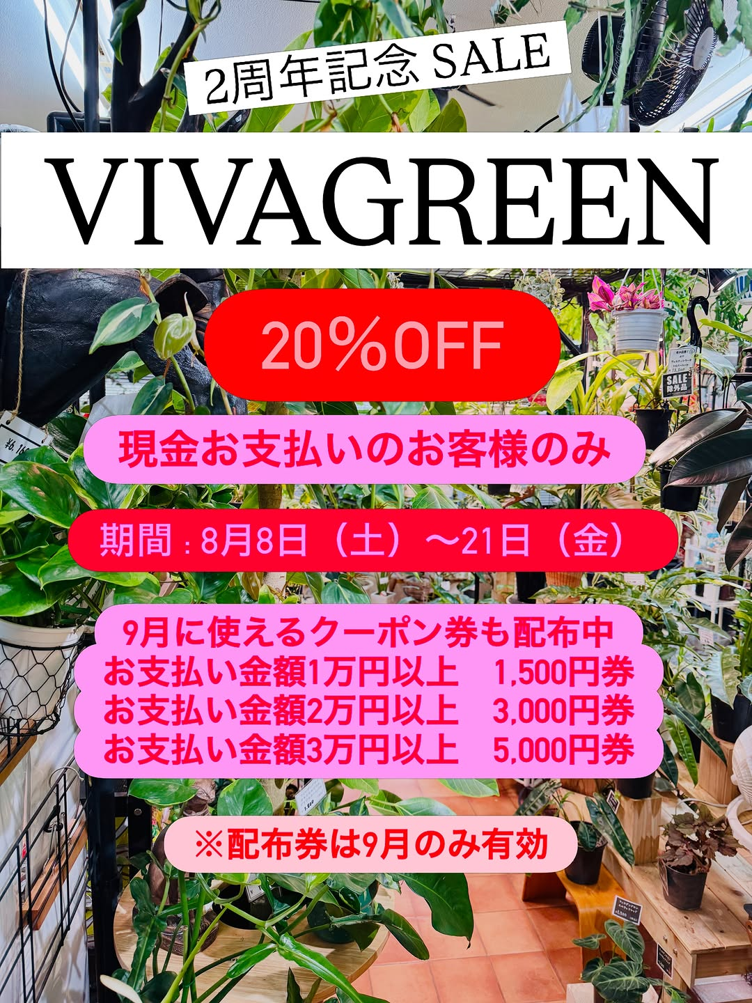 VIVAGREEN 2周年記念セールを8月8日から開催、植物と雑貨のほぼ全てが20%OFF