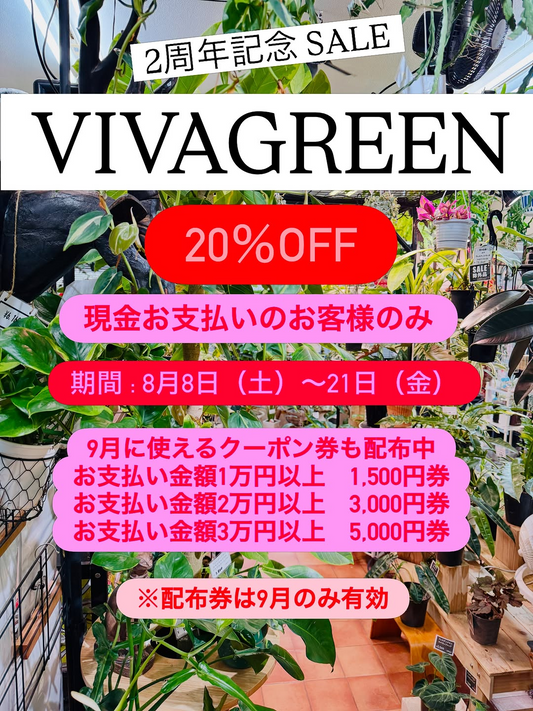 VIVAGREEN 2周年記念セールを8月8日から開催、植物と雑貨のほぼ全てが20%OFF