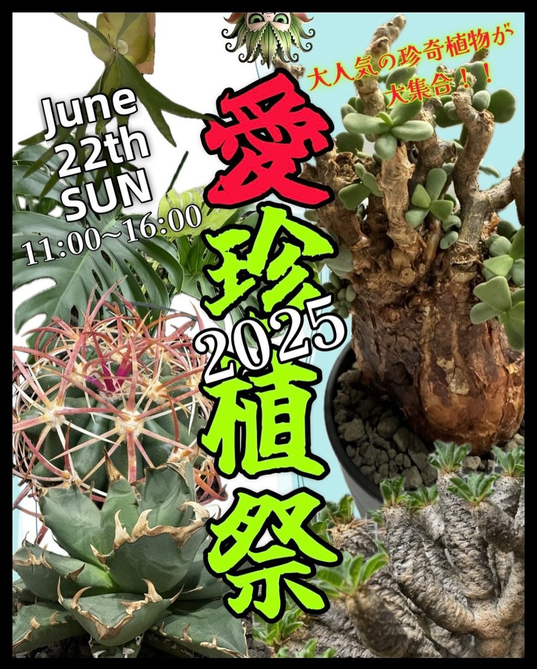 愛珍植祭2025が刈谷市産業振興センターで開催、植物マルシェとして1日限定の特別イベントを実施