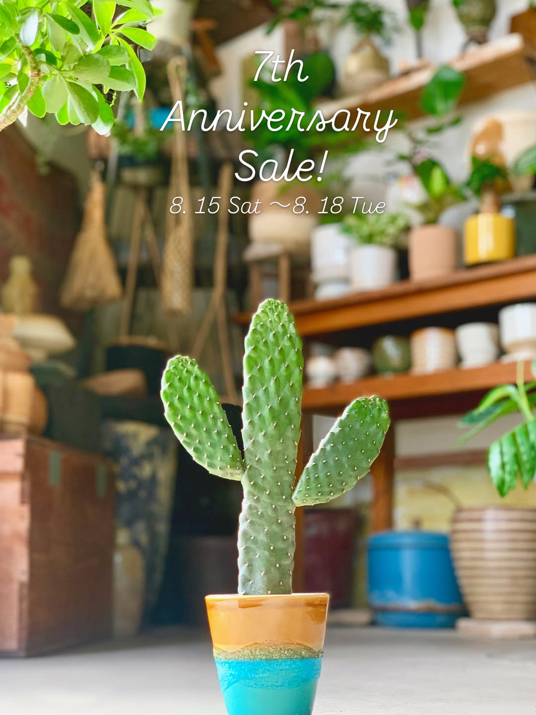 Sora to Taneが7周年記念SALEを開催、植物20%OFFで8月15日から4日間実施