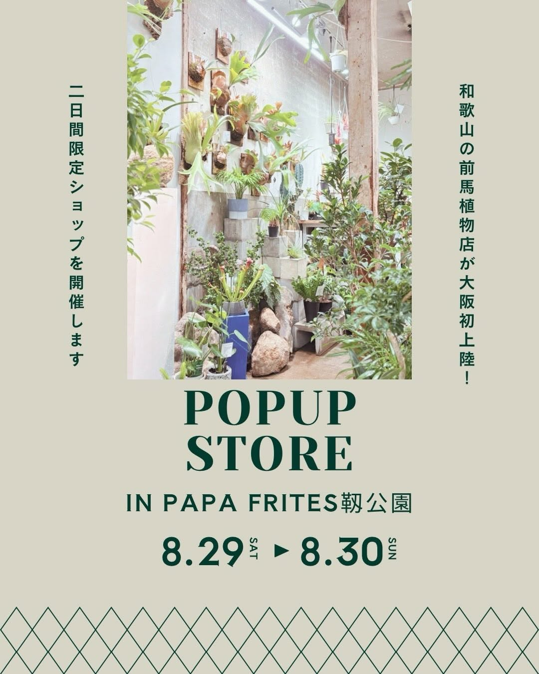前馬植物店が大阪初のPOPUP STOREを開催、PAPA FRITES靱公園で観葉植物と多肉植物を販売