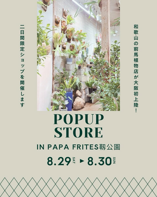 前馬植物店が大阪初のPOPUP STOREを開催、PAPA FRITES靱公園で観葉植物と多肉植物を販売