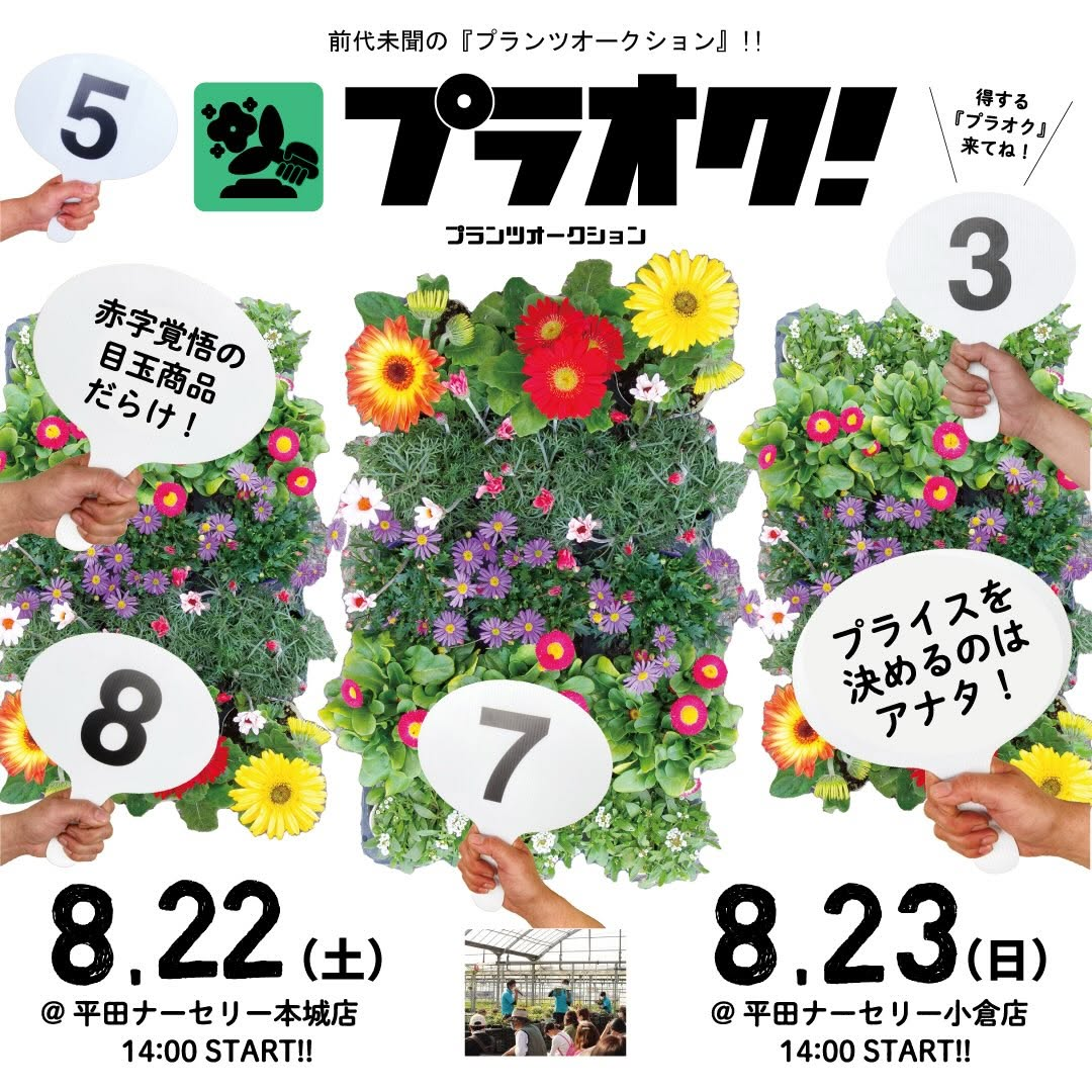 プラオク2026年8月22日を平田ナーセリー本城店で開催、14時からPLANTS AUCTIONを実施 - リーフラ編集部