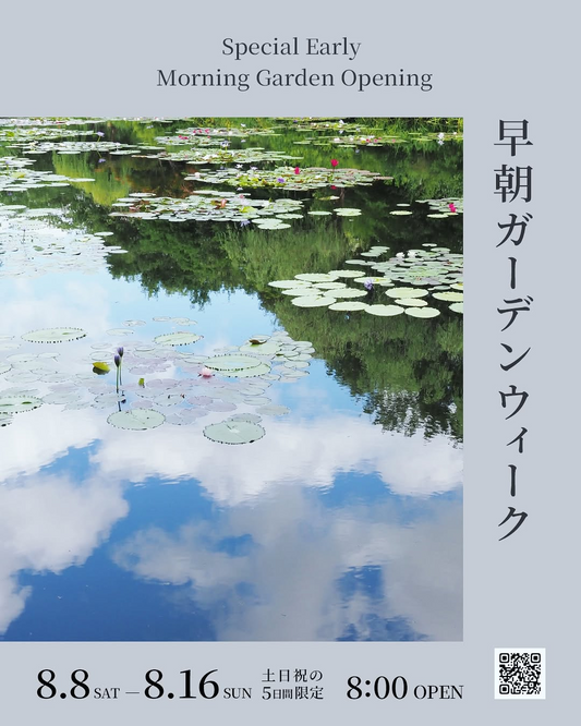 富田啓之が白白庵で富田啓之展「廿」を開催、個展活動20周年と花と陶が交わる展示