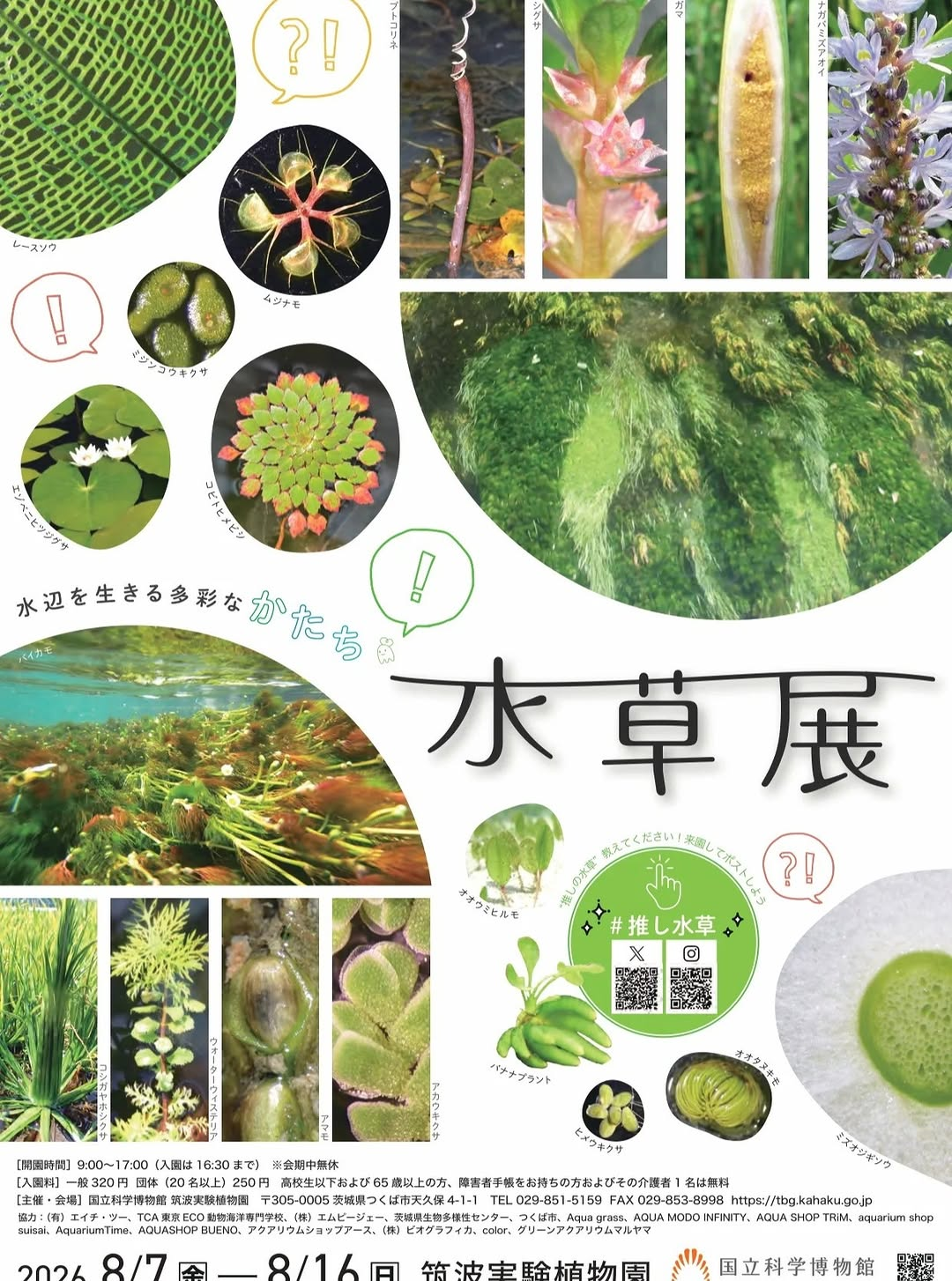 water plants loverが水草展2026応援企画を実施、入園券半券でオリジナルステッカー3枚組をプレゼント - リーフラ編集部