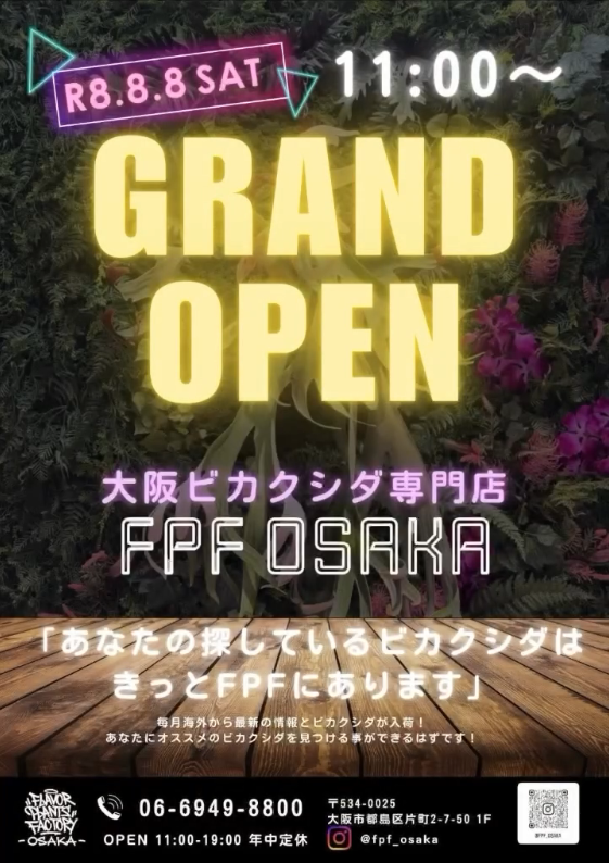 FPF OSAKAが2026年にグランドオープン、ビカクシダ専門店の新店舗でスーパーセールを実施 - リーフラ編集部