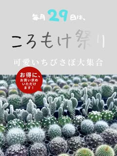 ちびさぼ卸し商談会2026年8月と9月に開催、たまちゃんず農園で仕入れを直接相談