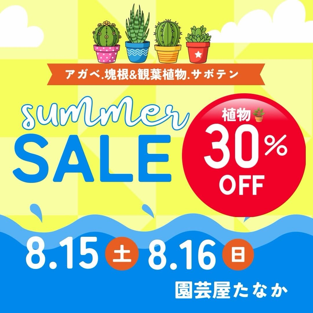 園芸屋たなか SUMMER SALE2026を開催、植物全品30%引きでアガベや塊根植物を販売