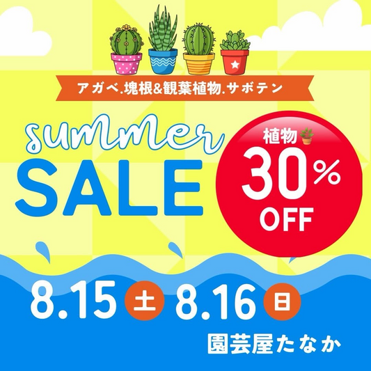 園芸屋たなか SUMMER SALE2026を開催、植物全品30%引きでアガベや塊根植物を販売