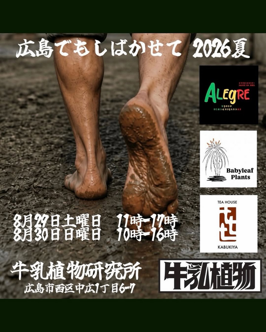 広島でもしばかせて2026夏を開催、アガベとアロエの出展や抹茶ラテとカキ氷の提供