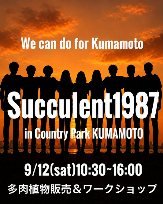 Succulent1987 in Country Park KUMAMOTO 2026が熊本で開催、多肉植物販売とワークショップを実施