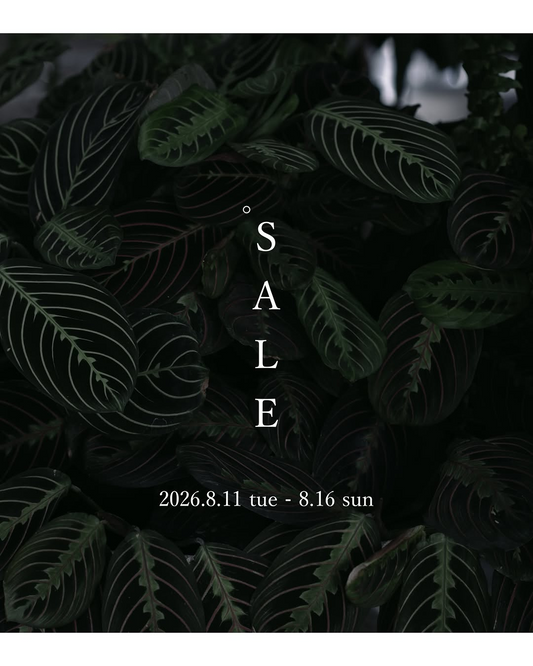 atelier/en'sが2026年お盆休みSALEを開催、植物や鉢や雑貨を割引販売