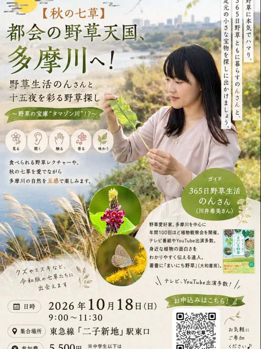 【秋の七草】都会の野草天国、多摩川へ！2026年10月18日に野草生活のんさんと秋の七草探しを実施