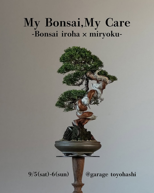 My Bonsai, My Care2026がgarage TOYOHASHIで開催、ミニ盆栽作りと持ち込みのお手入れ講座を実施