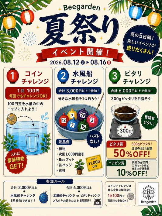 Beegarden夏祭り2026が5日間開催、コインや水風船と重量チャレンジを実施