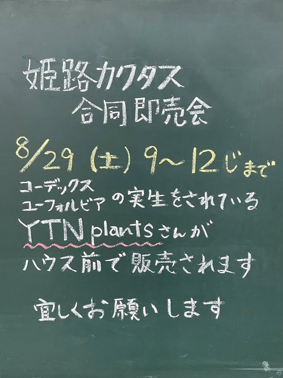 姫路カクタスがYTN plantsと合同即売会を開催、実生苗と新着苗を販売