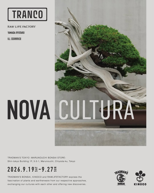TRADMAN'S BONSAIとKINOCOがNOVA CULTURA2026を開催、盆栽と塊根植物を植木鉢と組み合わせて展示販売