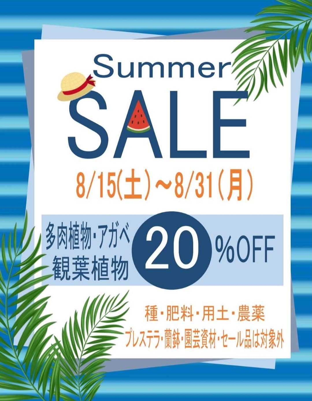 ノハラ園芸センターがSummer SALE2026を開催、多肉植物とアガベと観葉植物が20%OFF