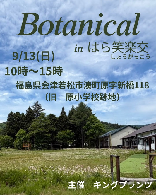 Botanical in はら笑楽交2026を開催、4組が多肉植物や雑貨を販売