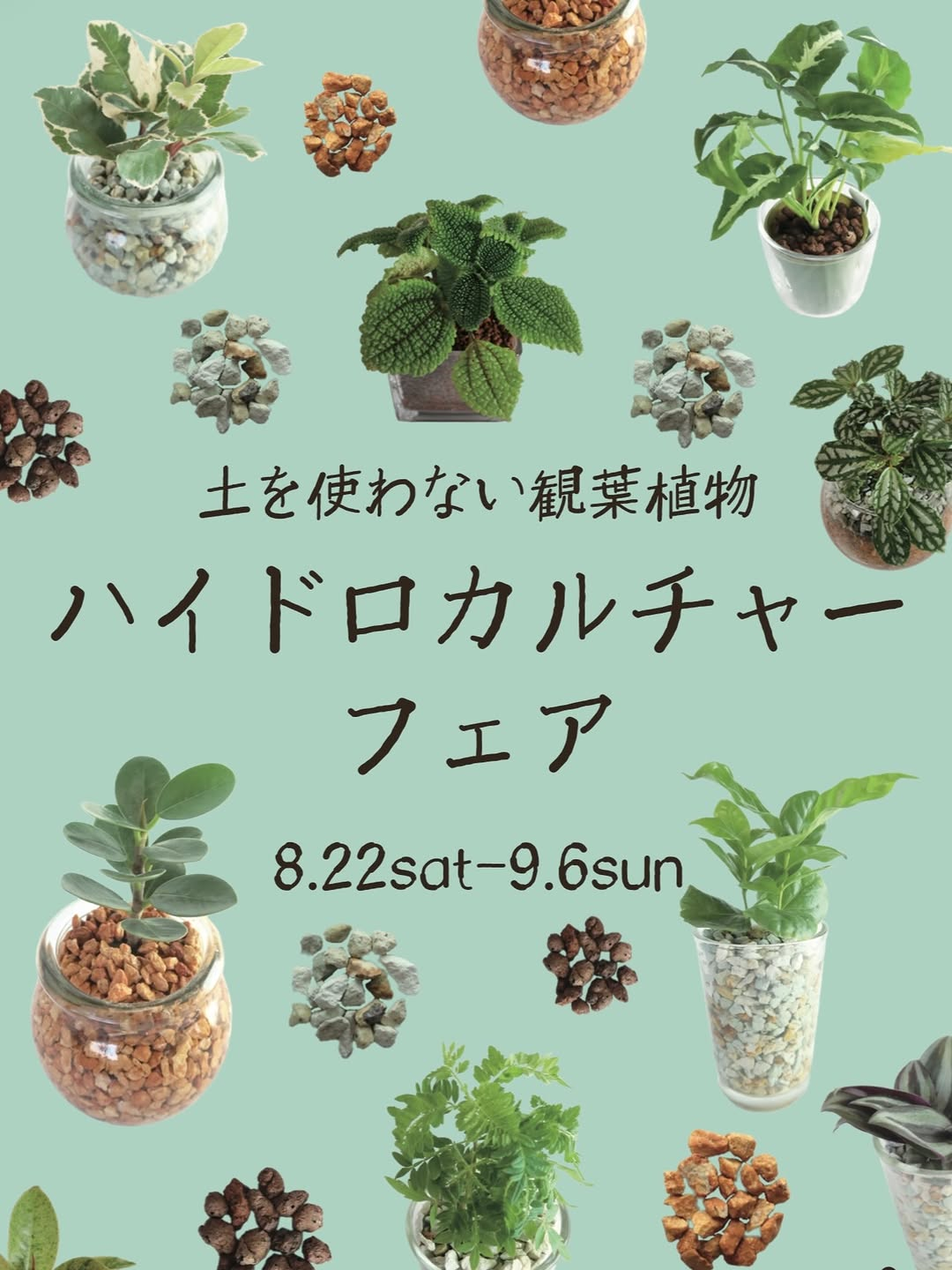 オザキフラワーパークがハイドロカルチャーフェア2026を開催、土を使わない観葉植物とワークショップを展開