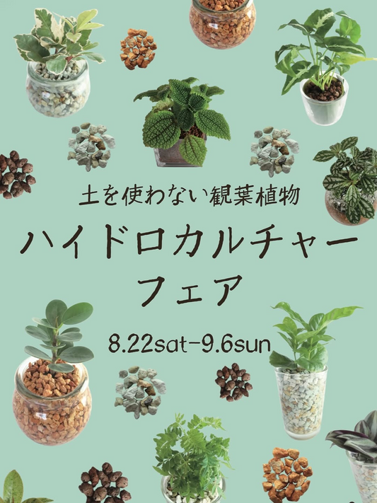 オザキフラワーパークがハイドロカルチャーフェア2026を開催、土を使わない観葉植物とワークショップを展開
