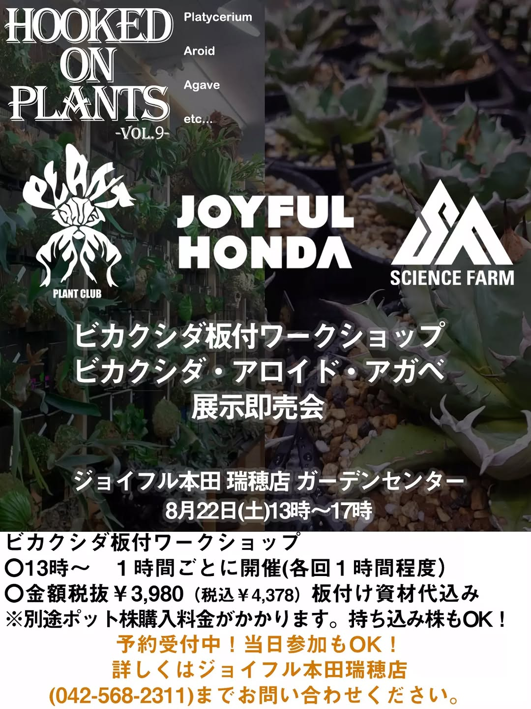 HOOKED ON PLANTS -VOL.9-でビカクシダ板付ワークショップを開催、展示即売会も実施
