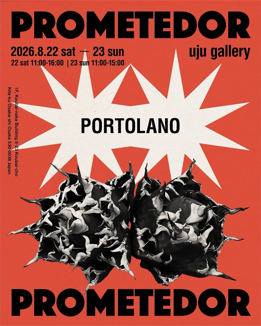 PROMETEDOR2026がuju galleryで開催、AGAVE OTEROIの新着株や現地株を展示販売
