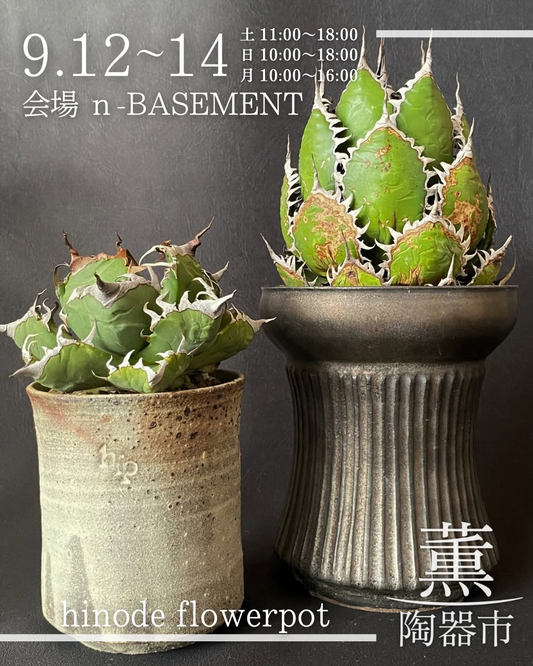 薫陶器市 vol.5が開催、hinode flowerpotの手作り植木鉢と陶器作家の出店情報を紹介