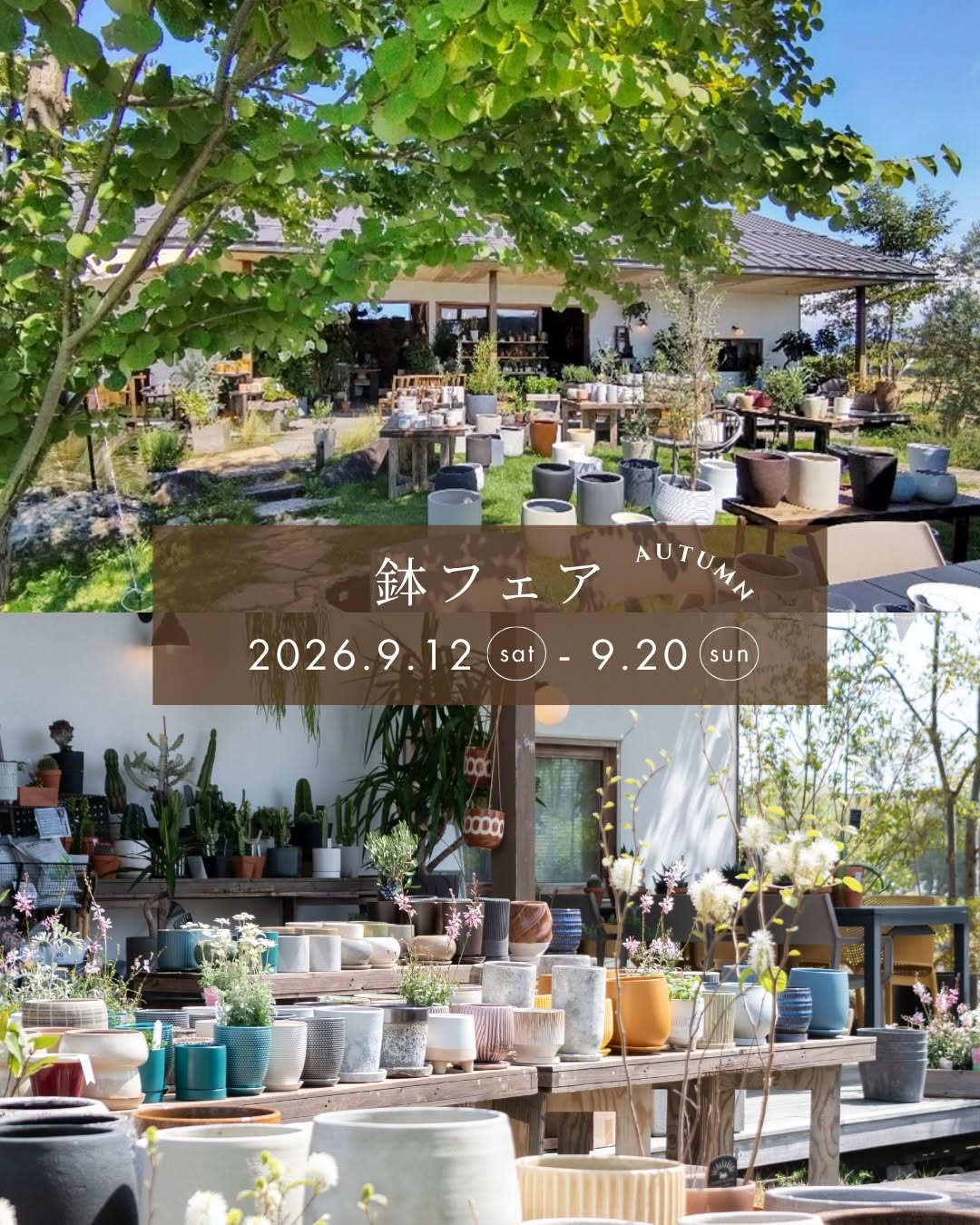 niwanosoが2026秋の鉢フェアを開催、200種類以上の鉢と植え替えサービスを案内