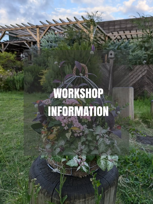 the Farm UNIVERSAL CHIBAがORIGINAL WORKSHOPを開催、アイアン鳥かごの花の寄せ植えを実施