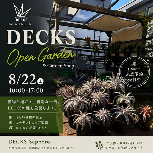 DECKS Open Garden & Garden Shop2026を8月22日に開催、札幌市清田区の庭を公開し植物販売や相談を実施