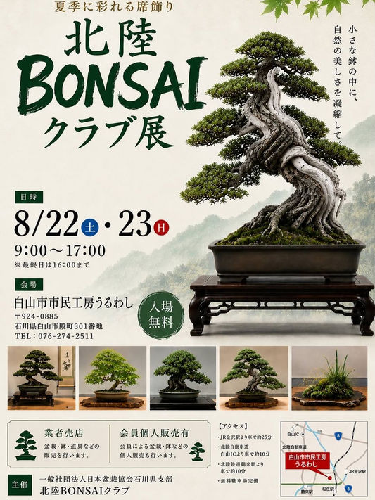 北陸BONSAIクラブ展2026が白山市で開催、盆栽や鉢や道具の販売を実施