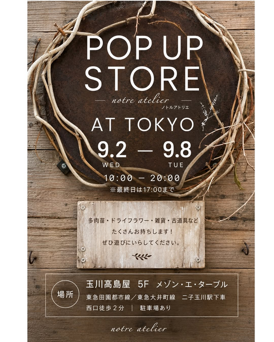 notre atelierが玉川高島屋で2026年POP UP STOREを開催、多肉苗やドライフラワーなどを用意