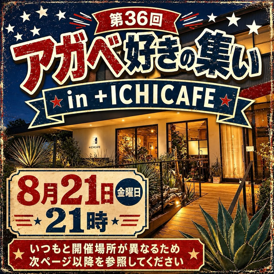 第36回アガベ好きの集い in +ICHICAFEを開催、8月21日夜に食事とアガベ鑑賞を実施